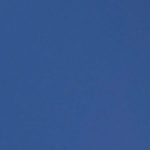 Meet your Posher, Lia